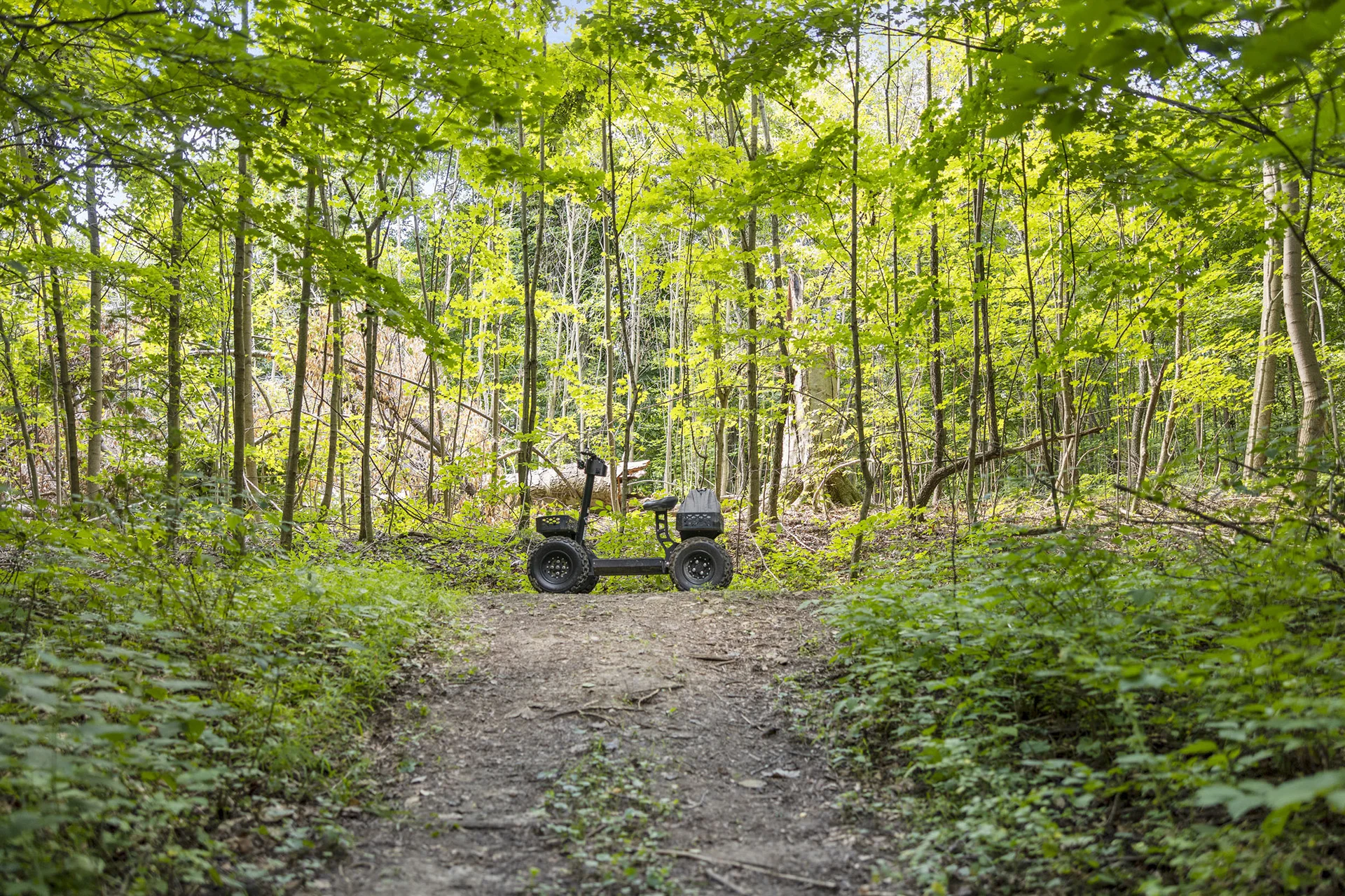 electric scooter in forest